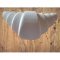 Пінопластовий круасан 50  см  фарбований. Photo 2